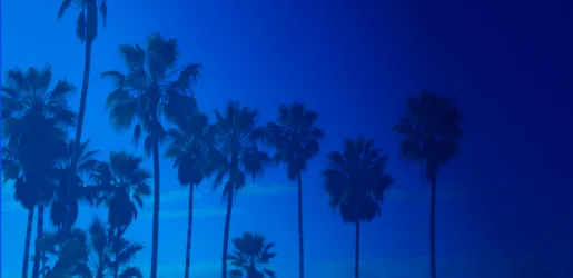 XLR8/LOCAL LOS ANGELES